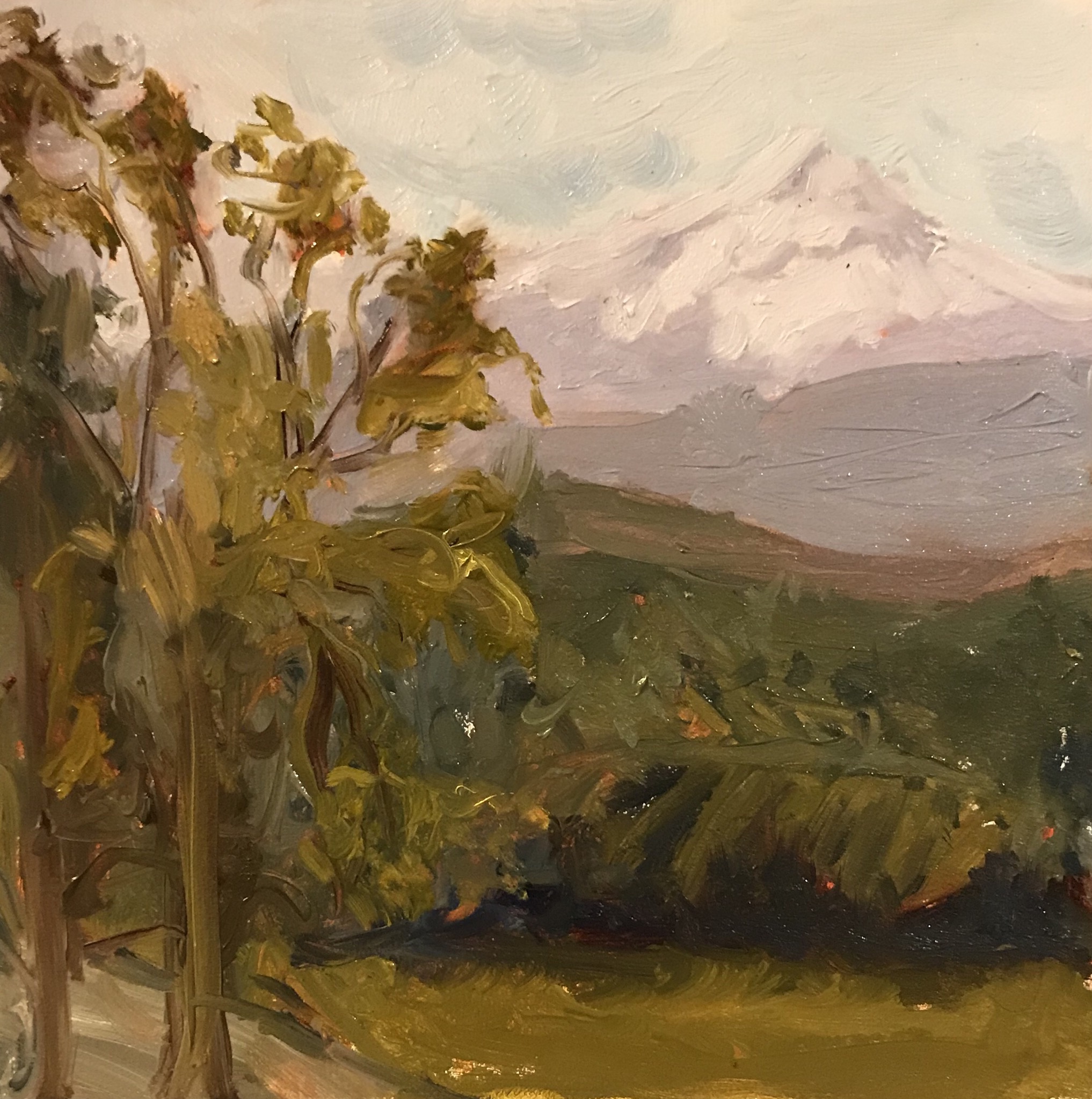 52155CBE-646A-4292-9C4D-C76E0F19E4F5