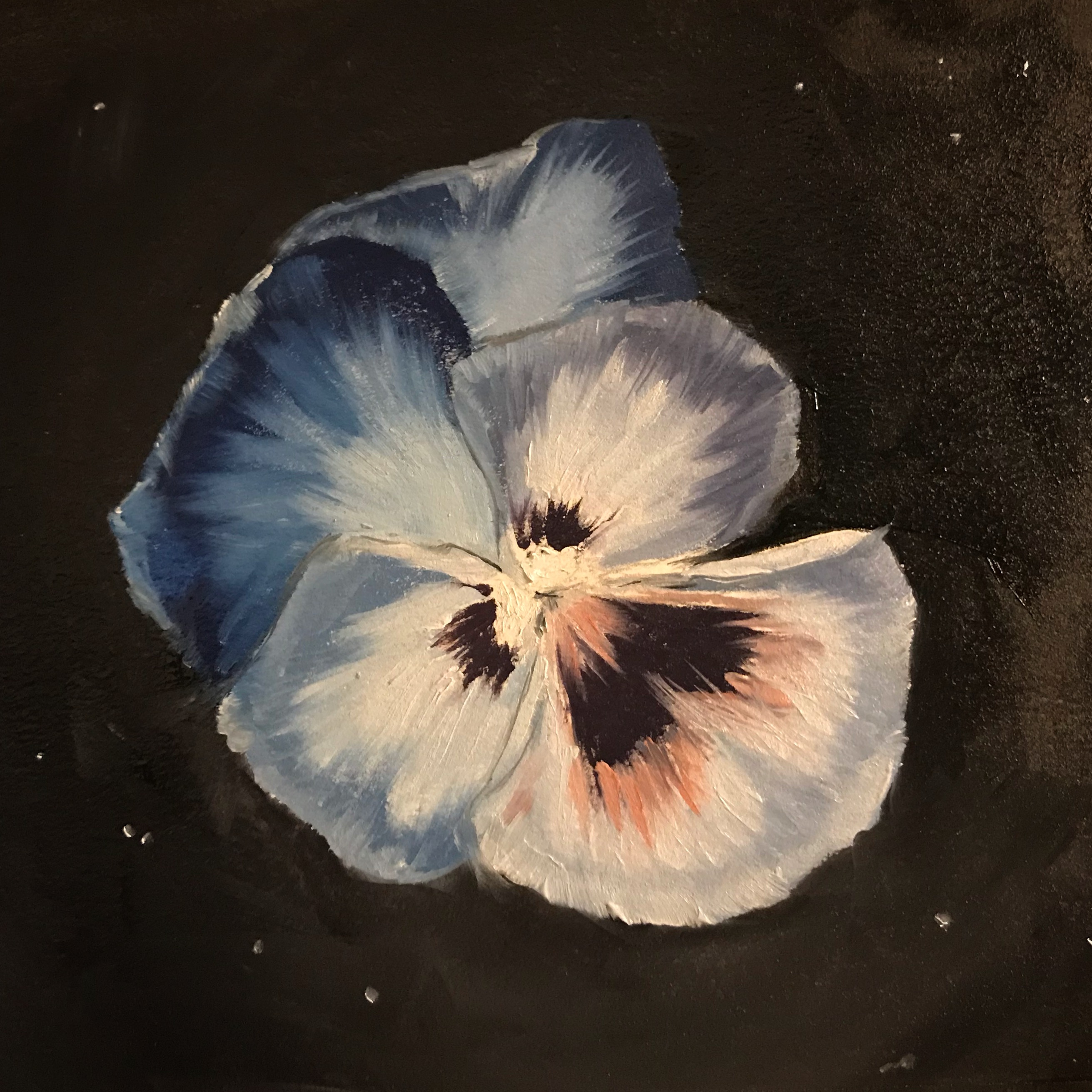 1DA13C08-3F73-4B9B-9669-4B0C3FD974B0