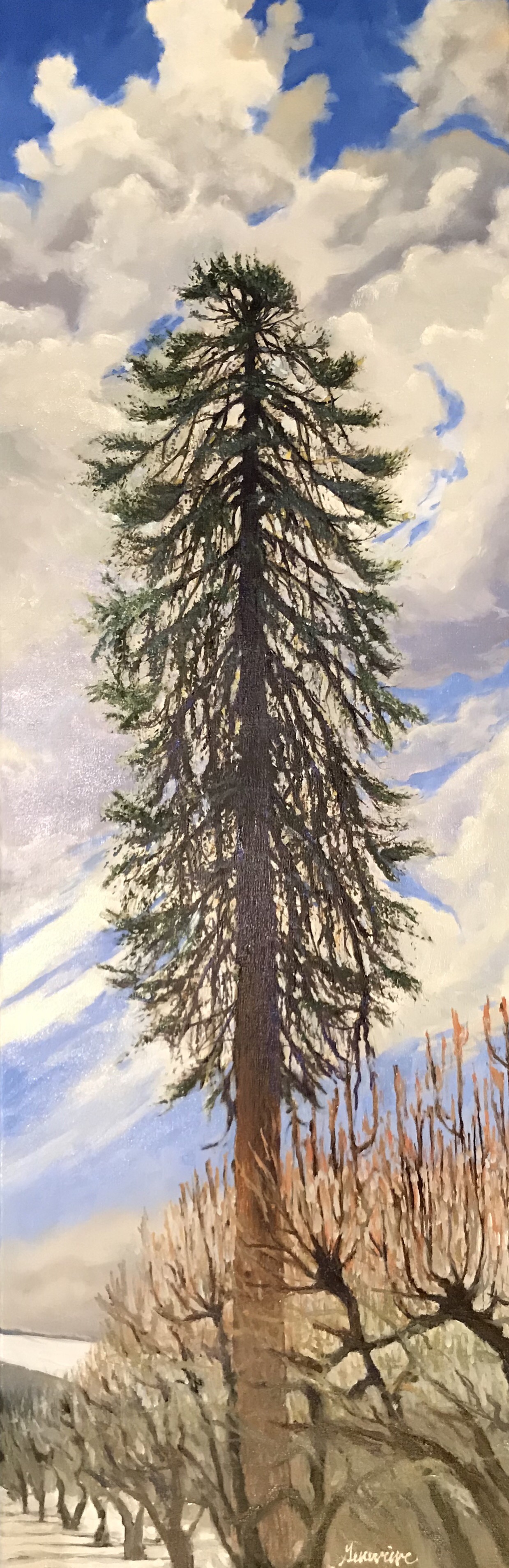 6DDC4B66-F9A7-4519-96FD-2C10EB564768