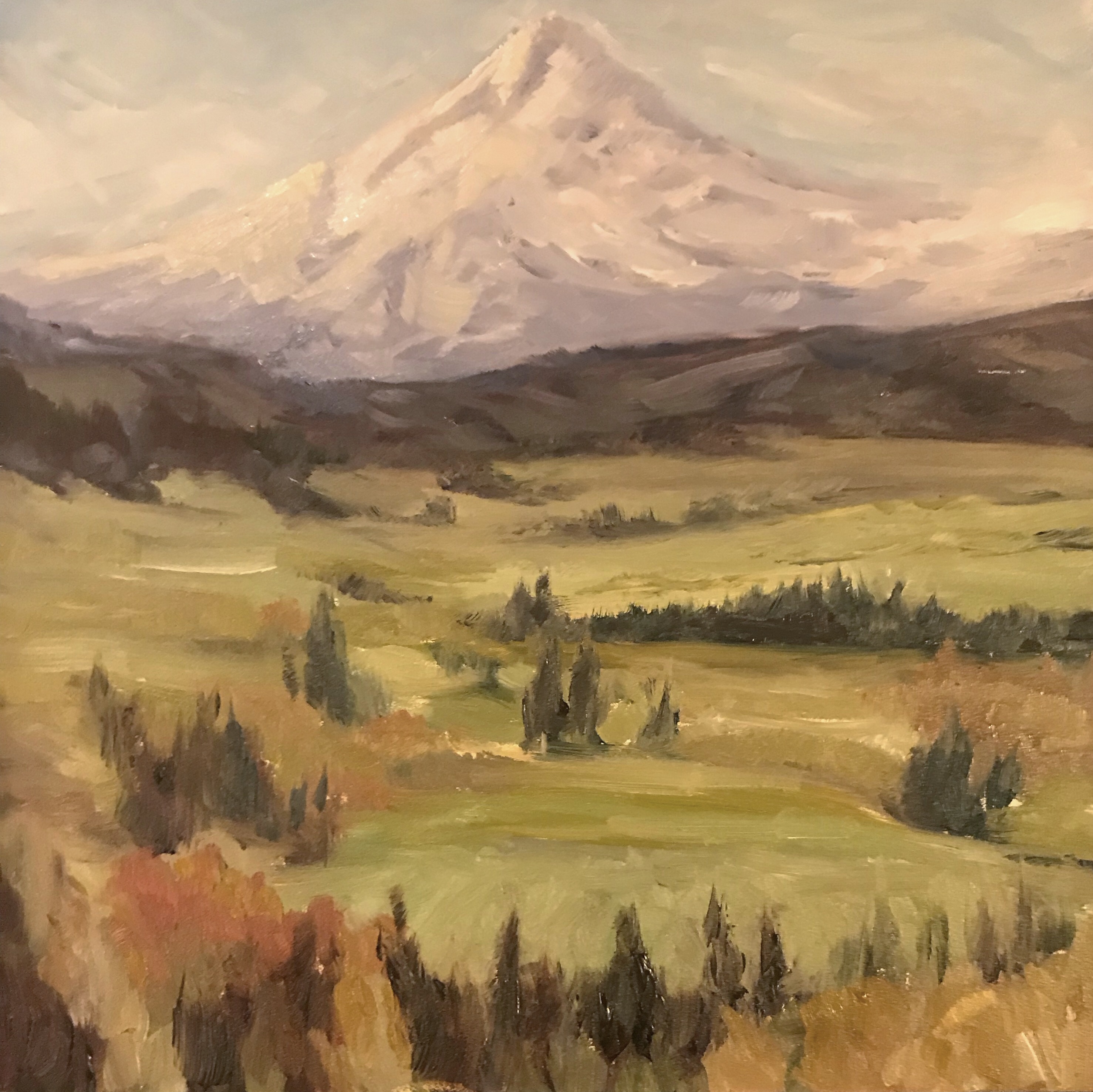 56FE1DDB-B345-491D-ACEF-D9E31CB2F04F