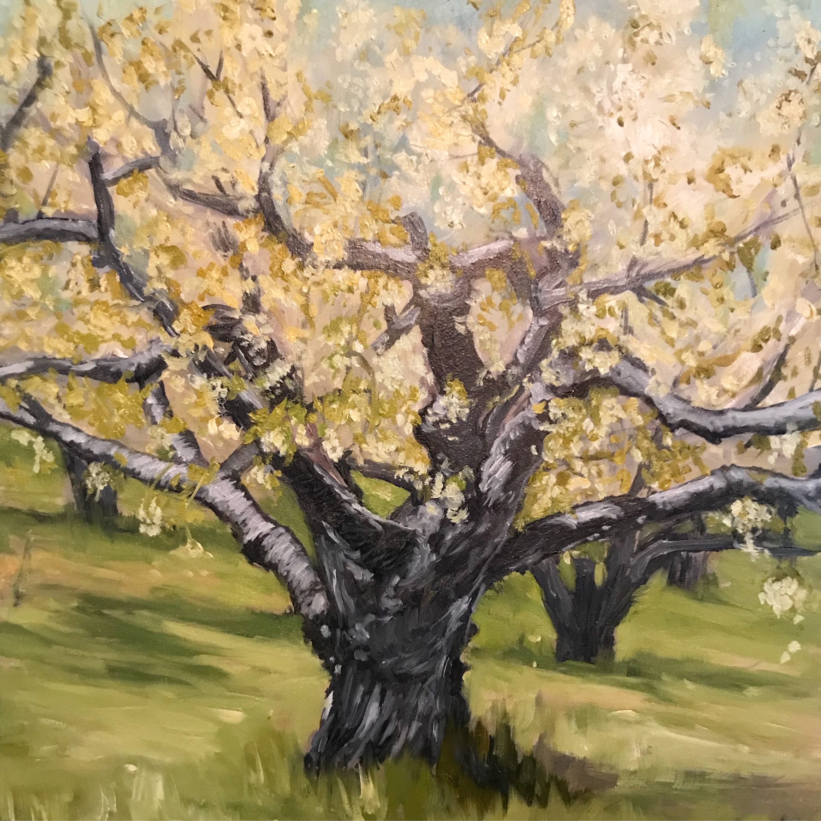 FEB0BF8A-0AEE-4778-871C-61E6B2EBB3DC