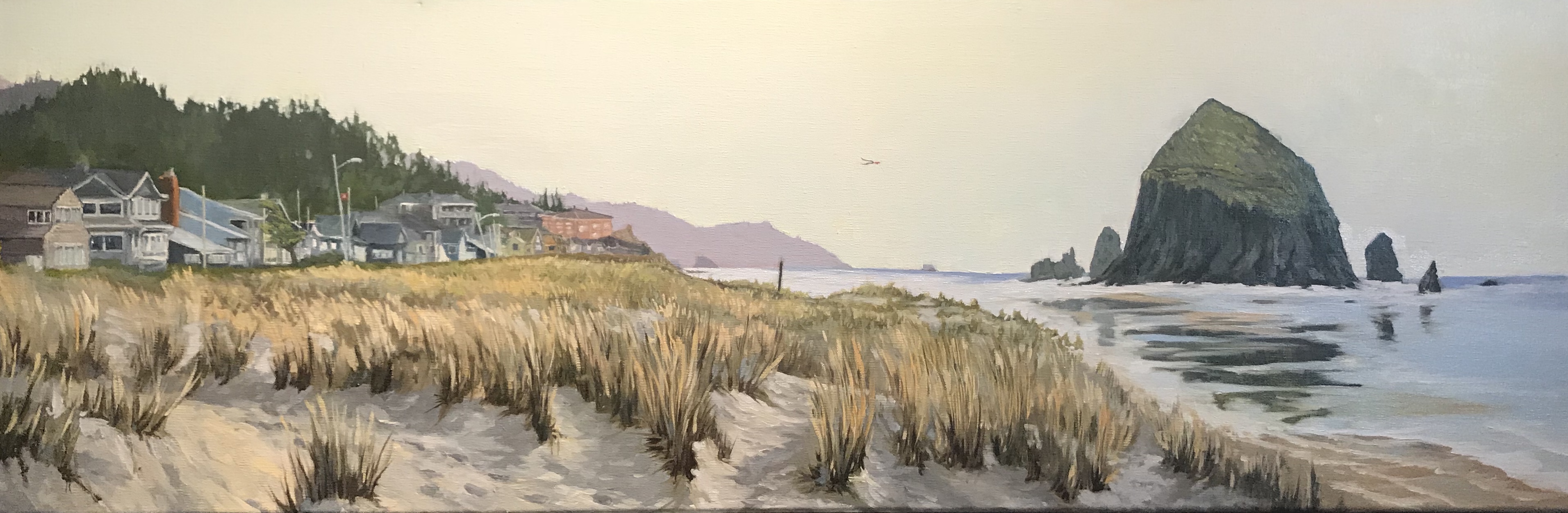 9A49646F-D82D-4003-BA1A-B1934B260488