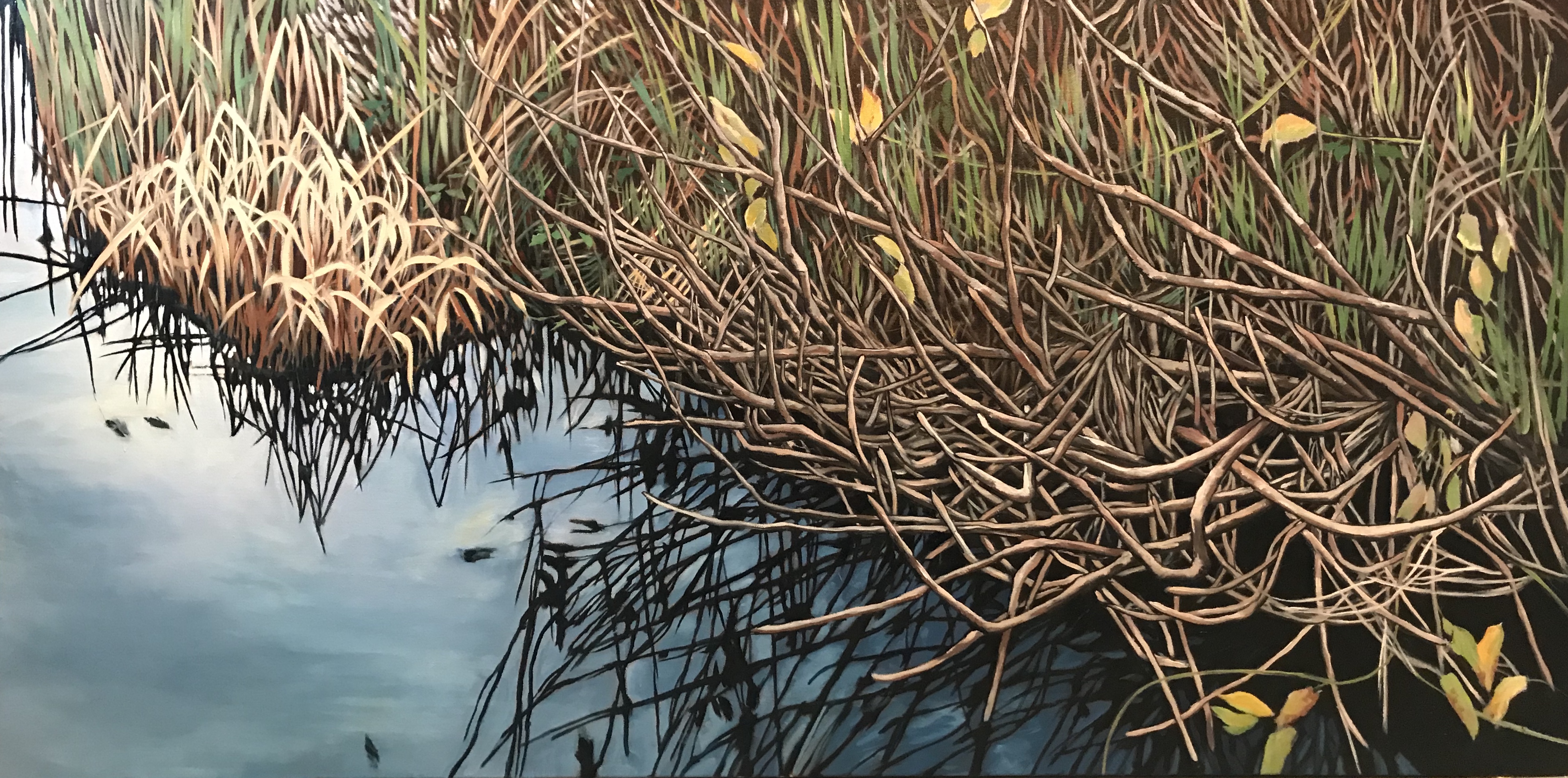 F739EB7B-7AA1-4AFE-9250-8F00CED678B2