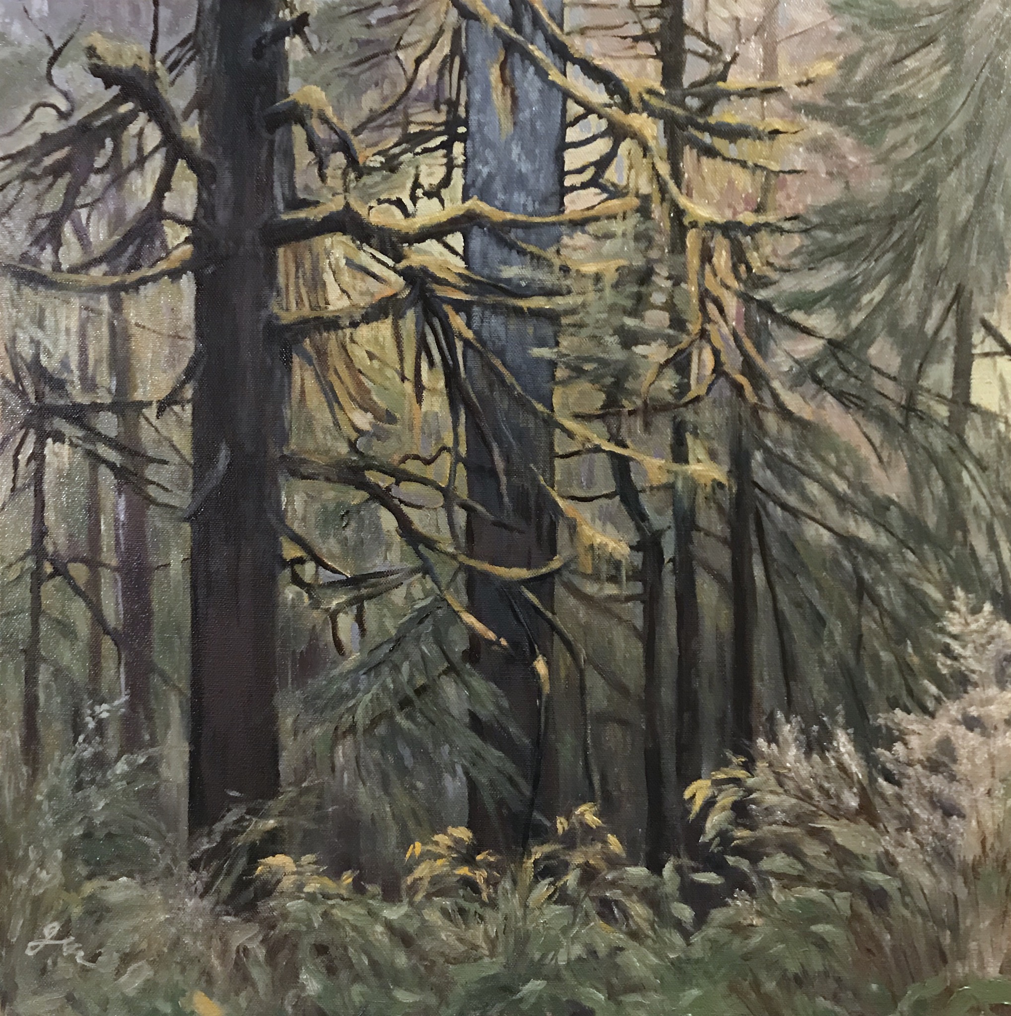 89D1E055-5EC8-497D-8E3B-0D9CBE86E73D